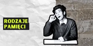 rodzaje pamięci miniaturka agata bijak