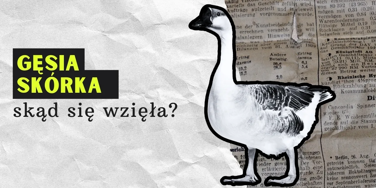 gęsia skórka agata bijak orłowska miniaturka