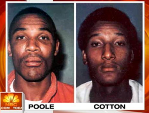 Fałszywe wspomnienia: czy możemy ufać swojej pamięci? fałszywe wspomnienia pamięć agata bijak orłowska